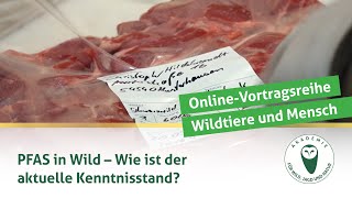 DJV-Online-Vortragsreihe „Wildtiere und Mensch“ | PFAS