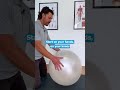 Swiss Ball Exercise for Lower Back Pain