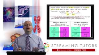 Mutations and the Nature of the Gene Complementation Testing tutorial