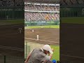 プロ野球 阪神タイガース 守備