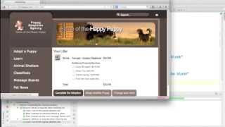 Developing Test Automation Scripts with RubyMine