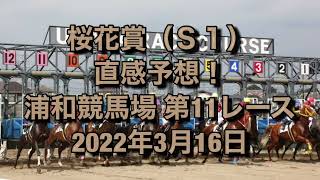 桜花賞（S1） 直感予想！ 浦和競馬場  第11レース 2022年3月17日