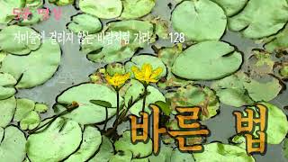 (묘원)불교 방송 5분명상 - 128. 바른 법