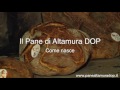 come nasce il pane di altamura dop