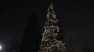 Faribault Light Up A Life 2025