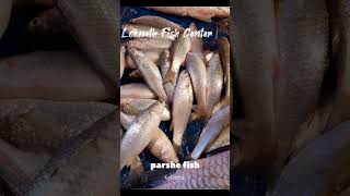 parshe fish