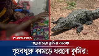 বাড়ির উঠানে গৃহবধূকে কামড়ে ধরলো কুমির! এলাকায় আতঙ্ক! | Faridpur Crocodiles | Panic | Jamuna TV