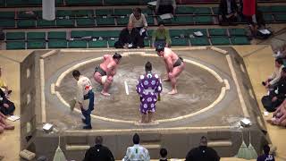 出羽疾風-芝/2018.1.16(42)/dewahayate-shiba/day3 #sumo