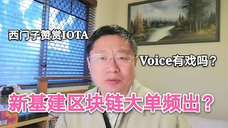 新基建区块链招标大单频出？西门子公司赞赏IOTA无块分布式数据库系统。区块链社交媒体平台Voice有戏吗？～Robert李区块链日记703