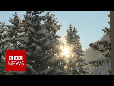Does Davos Really Make A Difference Bbc News Youtube