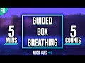 Guided Box Breathing - 5 Minute Meditation (5-5-5-5)