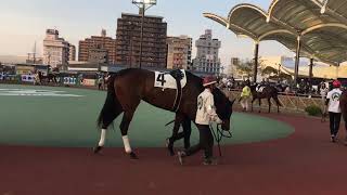 2018.4.13 船橋🐎6R フィーア