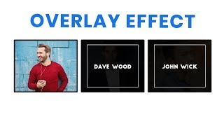 CSS Image Hover Overlay Effect | CSS Hover Effects Image