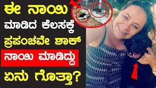 ಈ ನಾಯಿ ಮಾಡಿದ ಕೆಲಸ ನೋಡಿ ಇಡೀ ಪ್ರಪಂಚ ಶಾಕ್ | How Animals can understand difficult of others