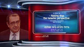 Zvi Ryzman - Shiur of Raising dogs - the halachic perspective