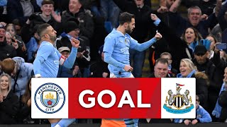GOAL | Bernardo Silva | Manchester City 1-0 Newcastle United | Quarter-final | E