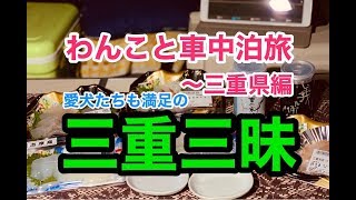 【わんこと車中泊旅〜三重編】愛犬たちも大満足の三重三昧