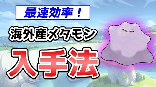 色違い厳選で必須の「海外産メタモン」を入手する方法【ポケモン剣盾】