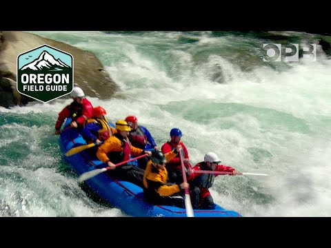 North Fork Smith: Desert River Gorge in the Middle of the Jungle | Oregon Field Guide