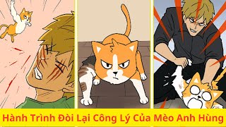 Hành Trình Đòi Lại Công Lý Của Mèo Anh Hùng - #giacatcuucuu #hoathinhvuinhon #giaitri #haihuoc