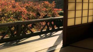 [10 Hours] Japanese Garden and Shōji Doors - Video \u0026 Soundscape [1080HD] SlowTV