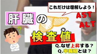 【肝臓】ALTとASTの違いって何？半減期とは？【看護師国家試験合格への道】