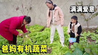 为了小妞，爸妈几个月前就种了有机蔬菜，现在派上用场啦【农家小妞儿】