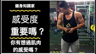 健身知識家｜感受度對長肌肉重不重要？｜何時該追求感受度？