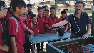 Teens 1 LJ to Kin Yan Agrotech PTE LTD