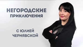 Негородские приключения. 11.11.2020