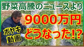 テレビはもっとやらんとあかんニュースあるやろ！野菜高騰のニュースは安易なネタ