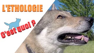 Question d'éthologie 1 : L'éthologie