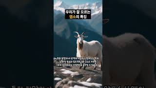 사람들이 잘 모르는 염소의 비밀, the goat's secret that people don't know much about #동물 #염소