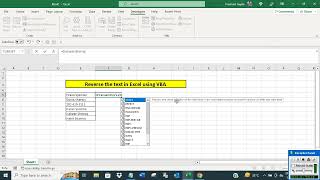 Reverse text in Excel using VBA