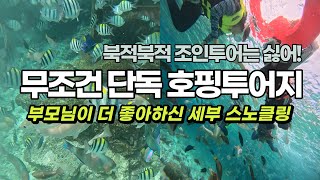 내돈내산 세부 단독 호핑투어 인생 첫 스노클링 한인 가이드와 함께한 프라이빗 스노클링 브이로그