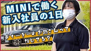 【1日密着】MINIのディーラー女子の1日