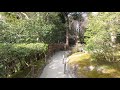 kyoto japan【4k】哲学の道から銀閣寺に行く ginkakuji tetsugaku no michi philosopher’s path