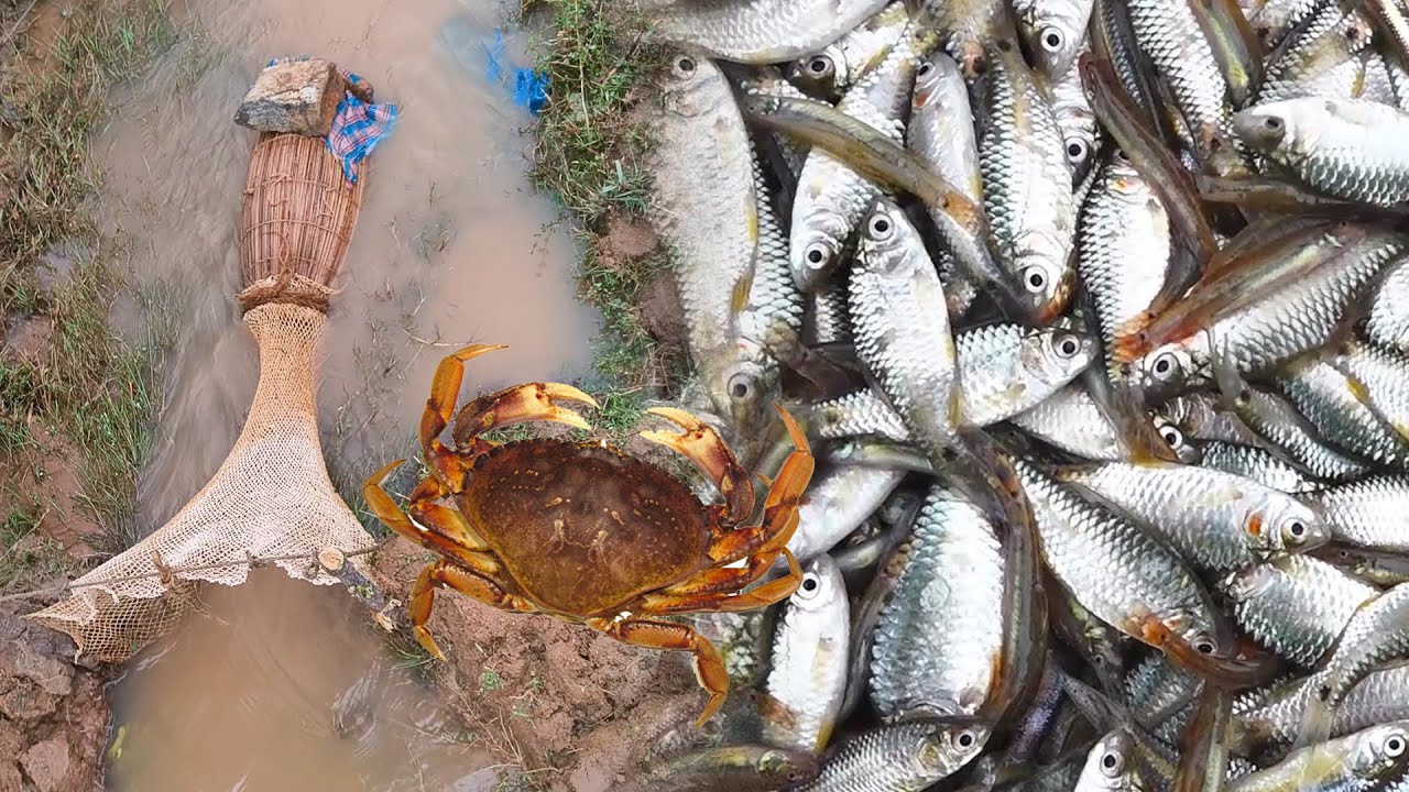 Fishing Youtube