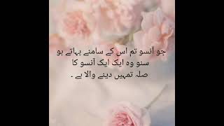 Trust on Allah Quotes || Urdu quotes