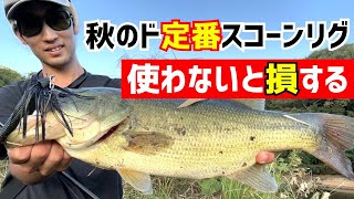 【バス釣り】秋を存分に楽しめる レイドジャパン ヘッドスライド×フルスイングのスコーンリグ   検)マックスブレード