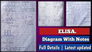 Elisa | Elisa test in hindi | Elisa test microbiology | Elisa test procedure | Elisa method