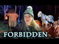 Walking Through The HARRY POTTER Forbidden Forest | Experience Review | Leesburg, VA