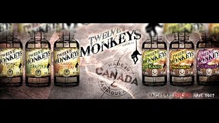 12 monkeys review by Welsh Vapester