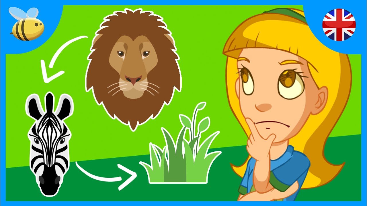 What Is The Food Chain Kids Videos Youtube