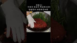 [순덕이네 1분요리] 전참시 먹교수 이영자 파김치 ! 파김치 광신도가 되어버린 전현무??