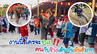 เมื่อพลายโน๊ตกับพลายใบบุญเต้น‼️⭕️ งานนี้ใครจะสนุกกว่ากัน⁉️ #พลายใบบุญ