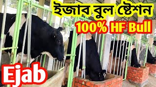 Ejab ইজাব এলায়েন্সের বুল ষ্টেশনের 100% শাহিওয়াল ও ফ্রিজিয়ান ষাড়/বুল দেখুন।Ejab Alliance Bull Station