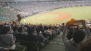 Giant team cheer on Metlife Dome 12/6/2019