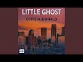 Chapter 13.11 & Chapter 14.1 - Little Ghost