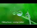 Falling Down - Loving Caliber